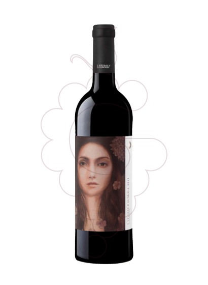 Photo 5 Viudas Sumoll red wine