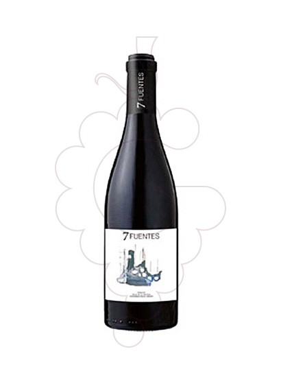 Photo 7 Fuentes red wine