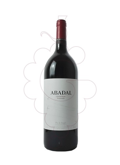Photo Abadal Franc Magnum red wine