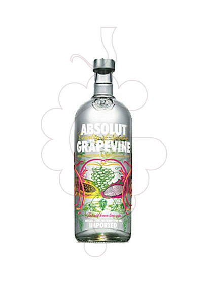 Photo Vodka Absolut Grapevine