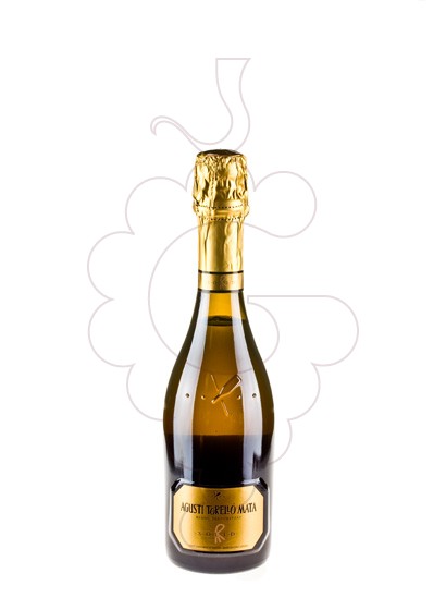Photo Aperitif wine Agusti Torello Mata Solid Blanc