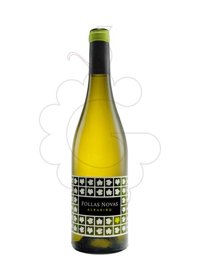 Photo Albariño Follas Novas white wine