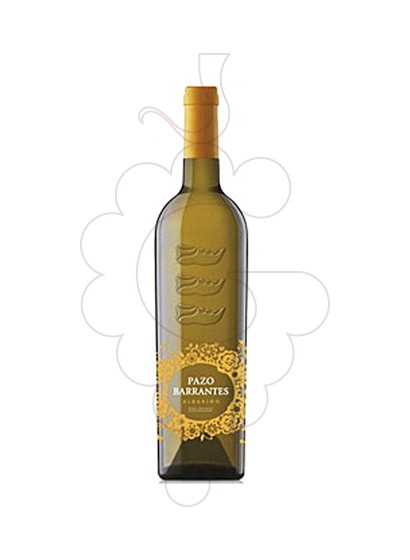 Photo Albariño Pazo de Barrantes white wine
