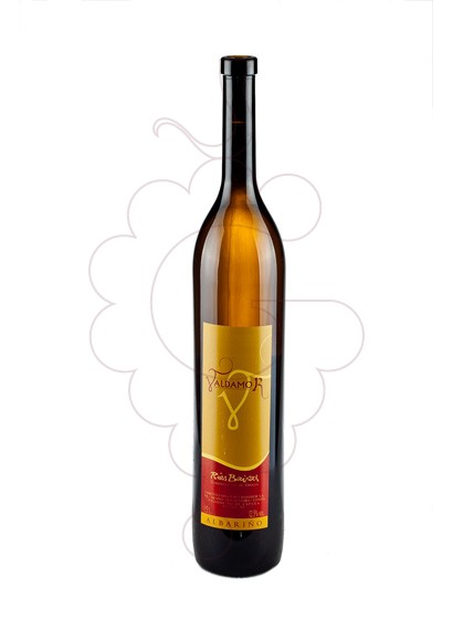 Photo Albariño Valdamor Magnum white wine