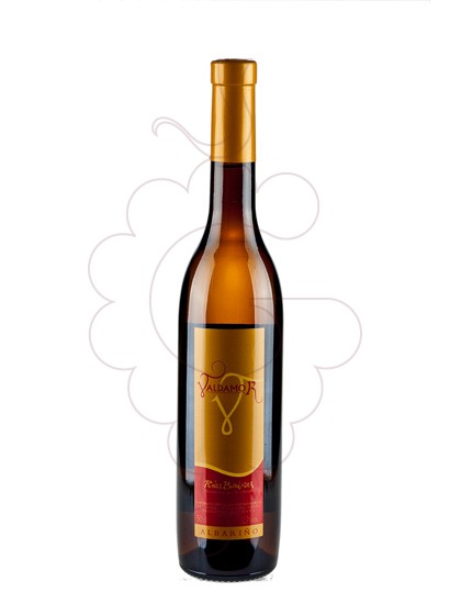 Photo Albariño Valdamor (mini) white wine