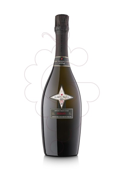 Photo Albet i Noya Brut Reserva 21 Barrica sparkling wine