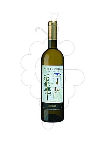 Photo Albet i Noya Chardonnay Col.lecció white wine