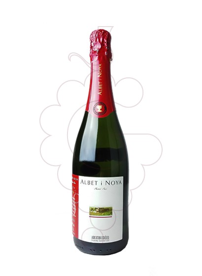 Photo Albet i Noya Semi sparkling wine
