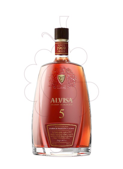 Photo Brandy Alvisa 5 Years