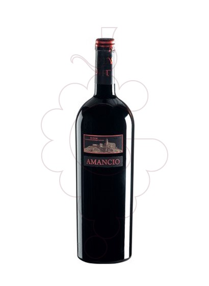 Photo Amancio Magnum red wine