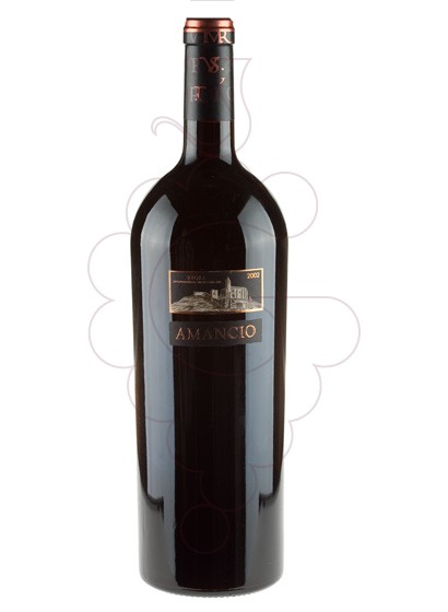 Photo Amancio Magnum red wine