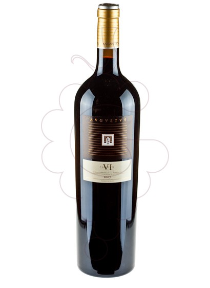 Photo Augustus 6 varietats Magnum red wine