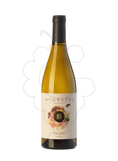 Photo Augustus Macabeu white wine