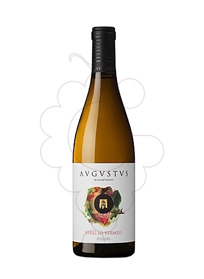 Photo Augustus Xarel.lo Vermell white wine