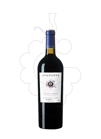Photo Augustus Primer Negre (mini) red wine