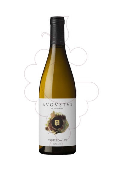 Photo Augustus Xarel.lo + 100 white wine