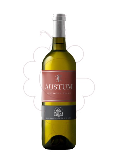 Photo Austum Sauvignon Blanc white wine