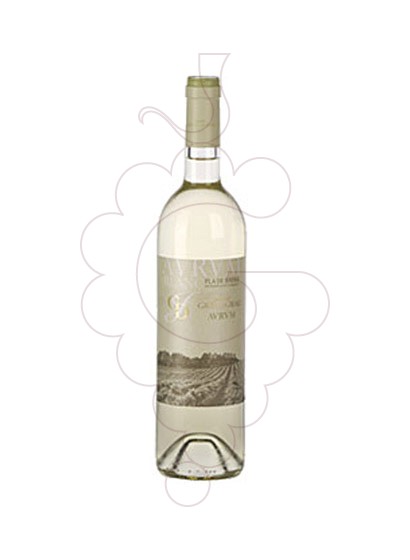 Photo Avrvm Blanc white wine