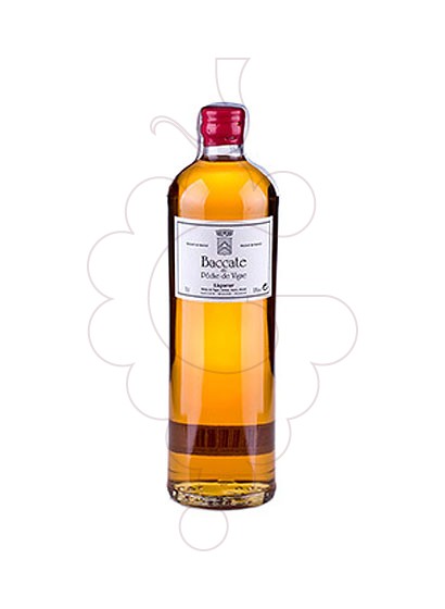Photo Liqueur Baccate (Pressec de Vigne)