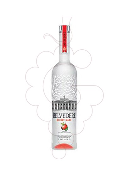 Photo Vodka Belvedere Bloody Mary