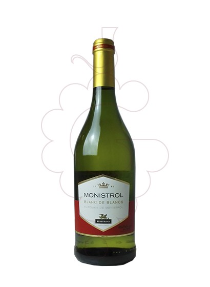 Photo Blanc de Blancs Marquès de Monistrol white wine