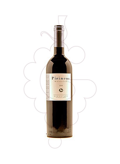 Photo Bodega Pirineo Moristel red wine