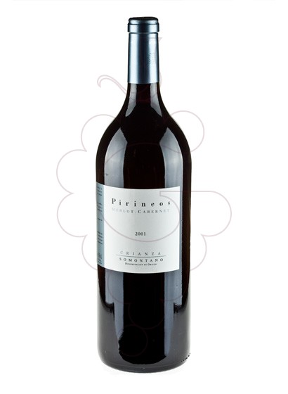 Photo Bodega Pirineos Merlot Cabernet Magnum red wine