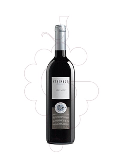 Photo Bodega Pirineos Merlot Cabernet red wine