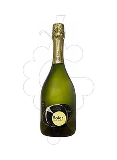 Photo Bolet Brut Nature Selecció Familiar sparkling wine