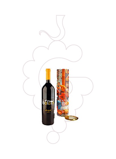 Photo Bolote Desigual Canister red wine