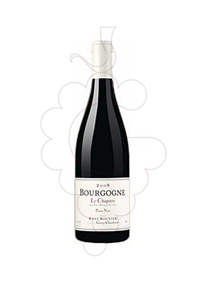 Photo Bouvier Bourgogne Chapitre red wine