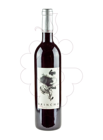 Photo Brincho red wine