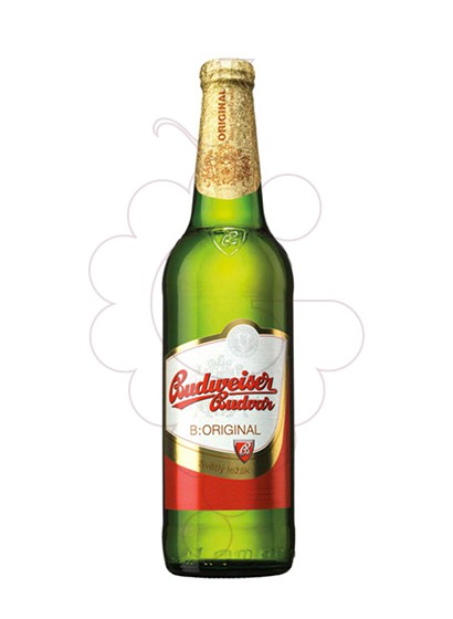 Photo Beer Budejovicky