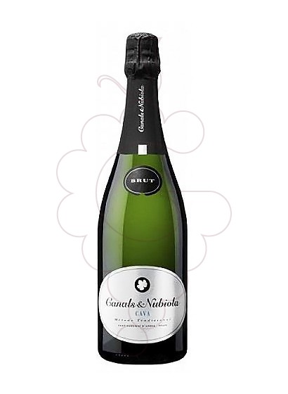 Photo Canals Nubiola Plata Brut sparkling wine