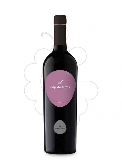 Photo Cap de Trons red wine