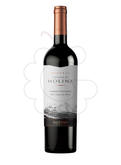 Photo Castillo de Molina Reserva red wine