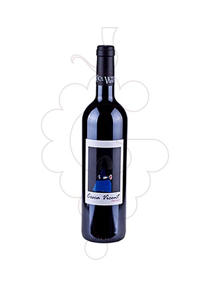 Photo Cesca Vicent Negre red wine