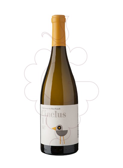 Photo Cinclus white wine