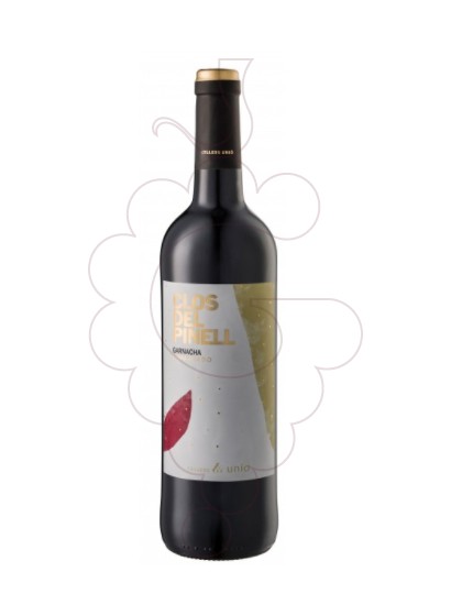 Photo Clos del Pinell Negre red wine