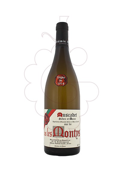 Photo Clos Montys Muscadete s/Maine white wine