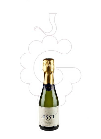 Photo Codorniu 1551 Benjamín sparkling wine