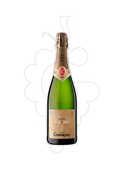 Photo Codorniu Ecologica Brut sparkling wine
