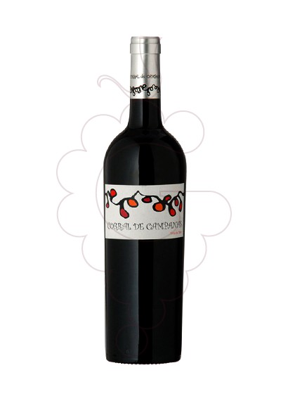 Photo Corral de Campanas Magnum red wine