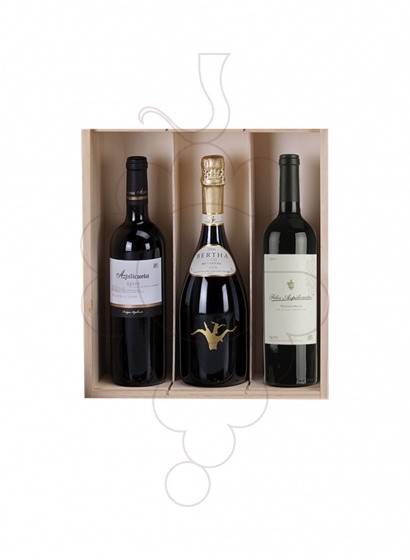 Photo Christmas boxes 2 Bottles Pack of Cava