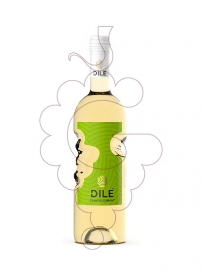Photo Dilé Bianco white wine