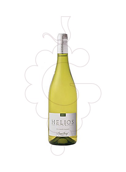 Photo Dom Brial Helios Blanc white wine