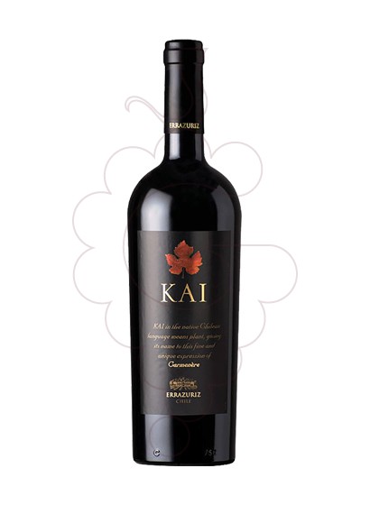 Photo Errazúriz Kai red wine