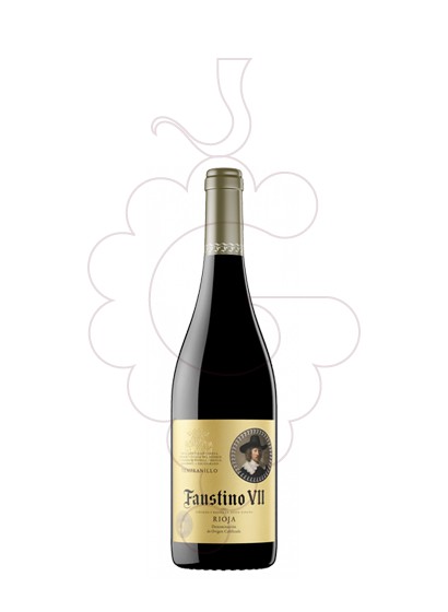 Photo Faustino VII Negre (mini) red wine