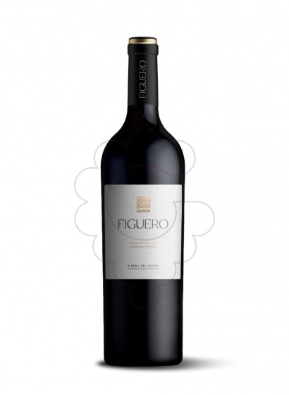 Photo Figuero 12 Meses Crianza red wine