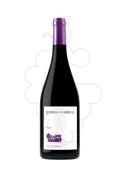 Photo Finca Caiz Carrizal Syrah red wine